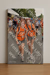 Evenement foto: Nijmeegse Vierdaagse 767