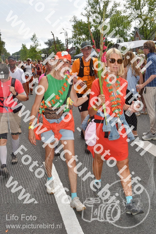 Evenement foto: Nijmeegse Vierdaagse 767