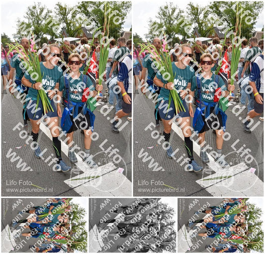 Evenement foto: Nijmeegse Vierdaagse 767