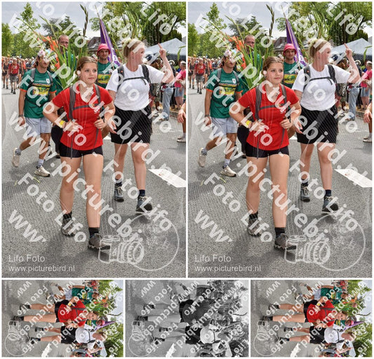 Evenement foto: Nijmeegse Vierdaagse 766