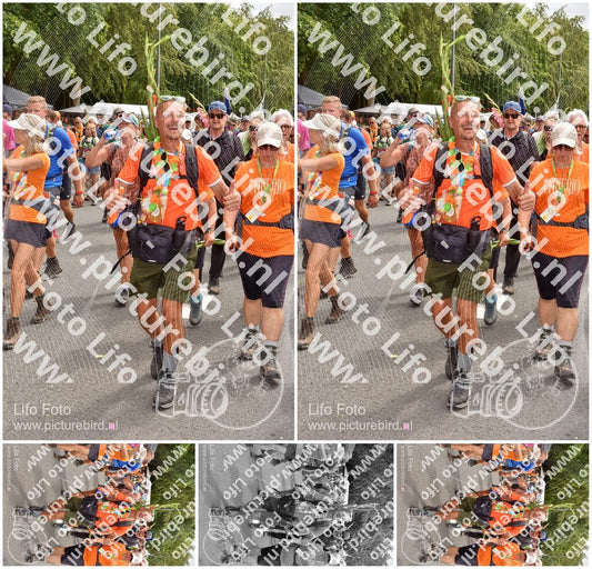 Evenement foto: Nijmeegse Vierdaagse 766