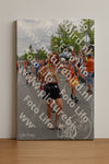 Evenement foto: Nijmeegse Vierdaagse 765