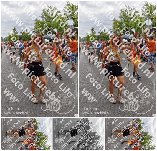 Evenement foto: Nijmeegse Vierdaagse 765
