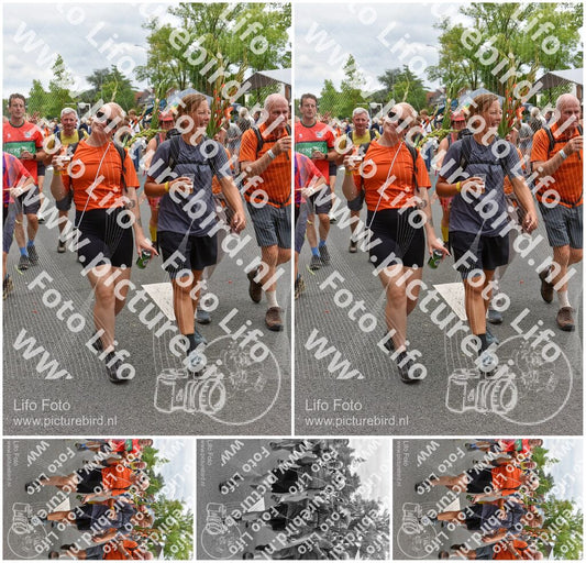 Evenement foto: Nijmeegse Vierdaagse 765