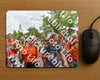 Evenement foto: Nijmeegse Vierdaagse 765