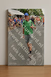 Evenement foto: Nijmeegse Vierdaagse 765