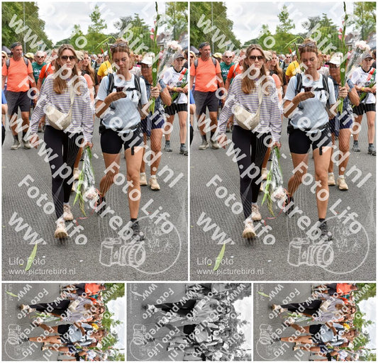 Evenement foto: Nijmeegse Vierdaagse 765