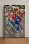 Evenement foto: Nijmeegse Vierdaagse 765