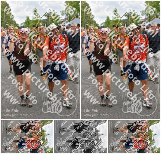 Evenement foto: Nijmeegse Vierdaagse 765