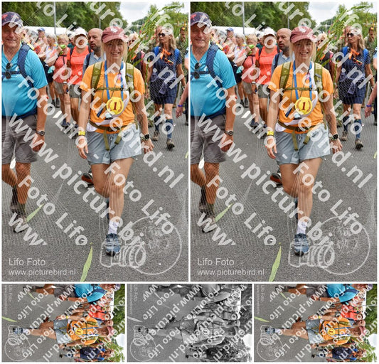 Evenement foto: Nijmeegse Vierdaagse 765