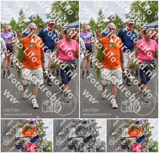 Evenement foto: Nijmeegse Vierdaagse 765