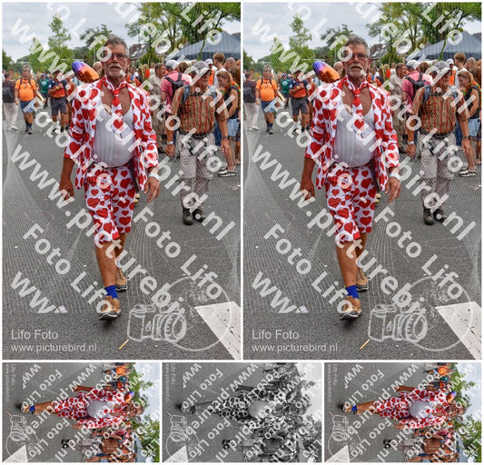 Evenement foto: Nijmeegse Vierdaagse 765