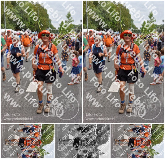 Evenement foto: Nijmeegse Vierdaagse 765