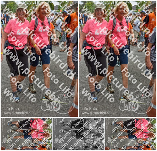 Evenement foto: Nijmeegse Vierdaagse 765