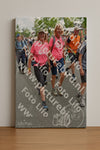 Evenement foto: Nijmeegse Vierdaagse 765