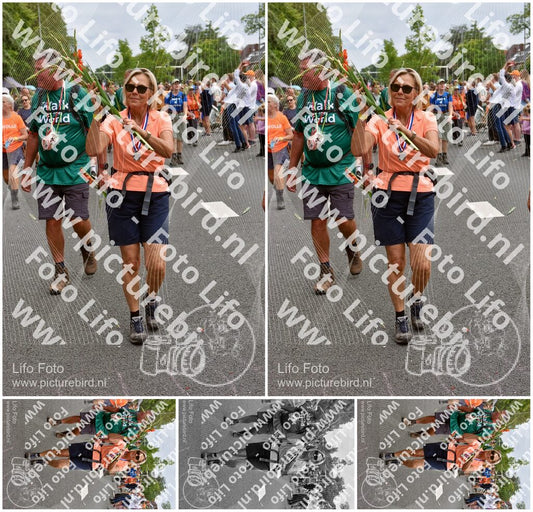 Evenement foto: Nijmeegse Vierdaagse 765