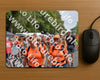 Evenement foto: Nijmeegse Vierdaagse 765