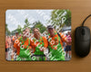 Evenement foto: Nijmeegse Vierdaagse 765