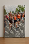Evenement foto: Nijmeegse Vierdaagse 765