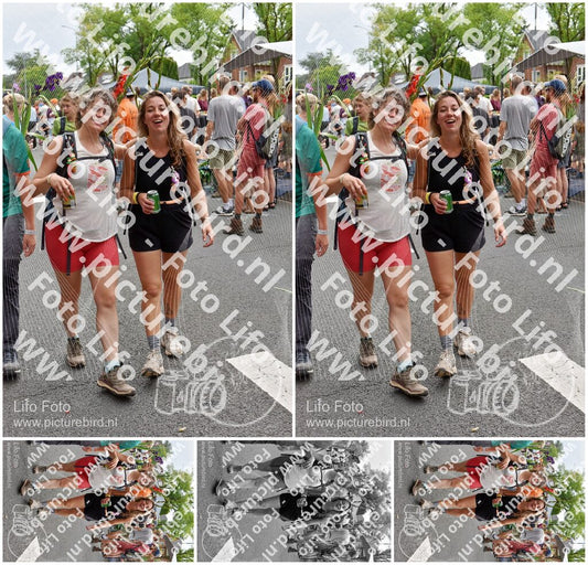 Evenement foto: Nijmeegse Vierdaagse 765