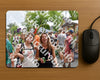 Evenement foto: Nijmeegse Vierdaagse 765