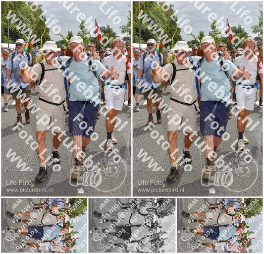 Evenement foto: Nijmeegse Vierdaagse 765
