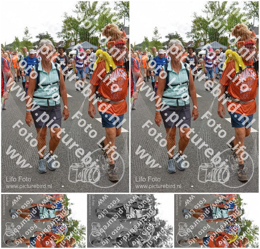 Evenement foto: Nijmeegse Vierdaagse 764