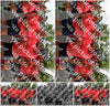 Evenement foto: Nijmeegse Vierdaagse 764