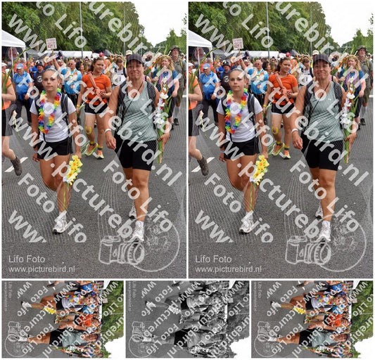 Evenement foto: Nijmeegse Vierdaagse 764