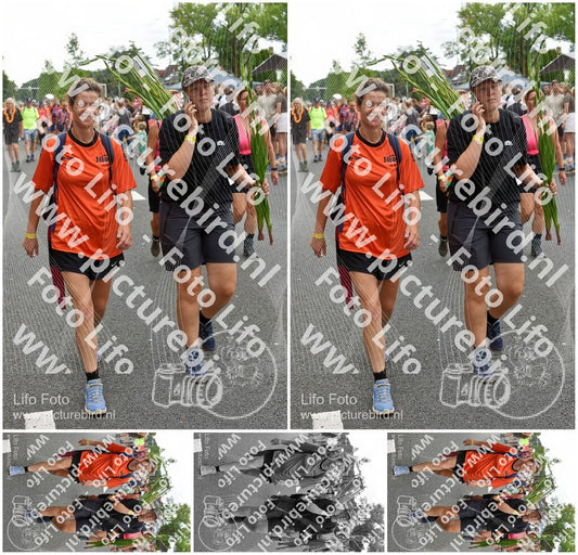 Evenement foto: Nijmeegse Vierdaagse 764