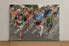 Evenement foto: Nijmeegse Vierdaagse 764