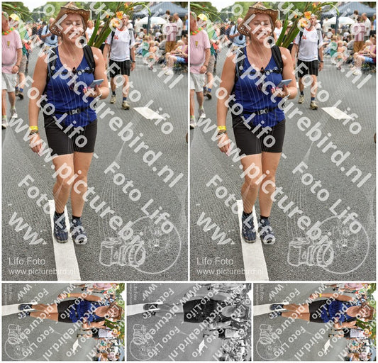 Evenement foto: Nijmeegse Vierdaagse 764