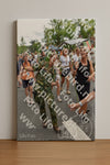Evenement foto: Nijmeegse Vierdaagse 764