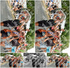 Evenement foto: Nijmeegse Vierdaagse 764