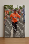 Evenement foto: Nijmeegse Vierdaagse 764
