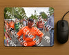 Evenement foto: Nijmeegse Vierdaagse 764