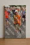 Evenement foto: Nijmeegse Vierdaagse 764