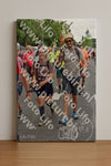 Evenement foto: Nijmeegse Vierdaagse 764