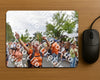 Evenement foto: Nijmeegse Vierdaagse 764