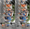 Evenement foto: Nijmeegse Vierdaagse 764