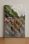 Evenement foto: Nijmeegse Vierdaagse 764
