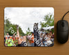 Evenement foto: Nijmeegse Vierdaagse 764