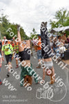 Evenement foto: Nijmeegse Vierdaagse 764