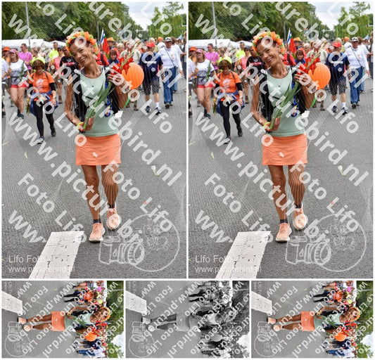 Evenement foto: Nijmeegse Vierdaagse 764