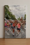Evenement foto: Nijmeegse Vierdaagse 764