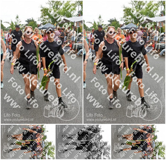 Evenement foto: Nijmeegse Vierdaagse 763