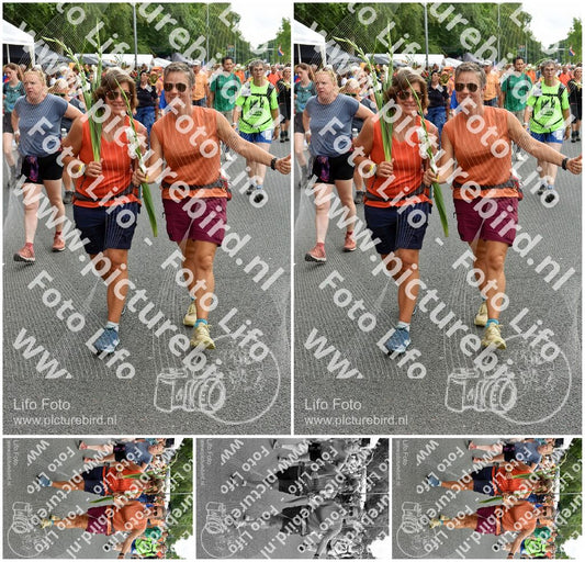 Evenement foto: Nijmeegse Vierdaagse 763