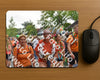 Evenement foto: Nijmeegse Vierdaagse 763