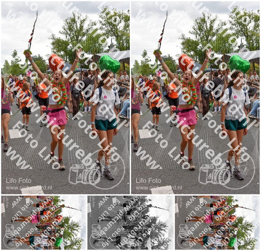Evenement foto: Nijmeegse Vierdaagse 763