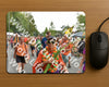 Evenement foto: Nijmeegse Vierdaagse 763